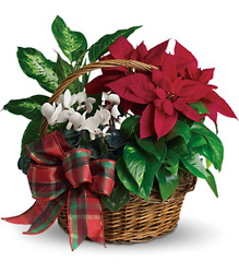 Holiday Homecoming Basket from Westbury Floral Designs in Westbury, NY